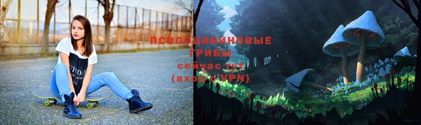 а пвп мука Лабытнанги