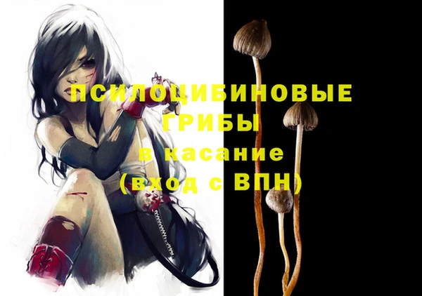 стафф Домодедово
