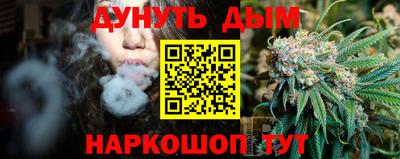 эйфоретик Гай