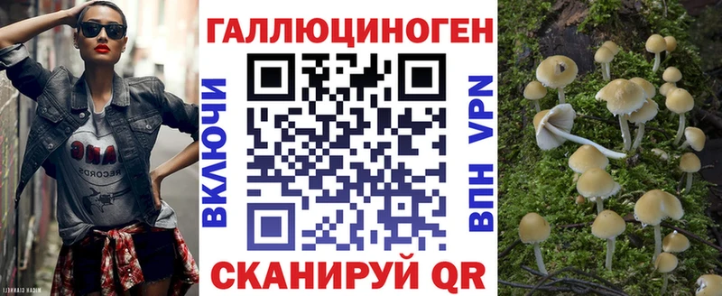 Галлюциногенные грибы Psilocybe  Ростов-на-Дону 