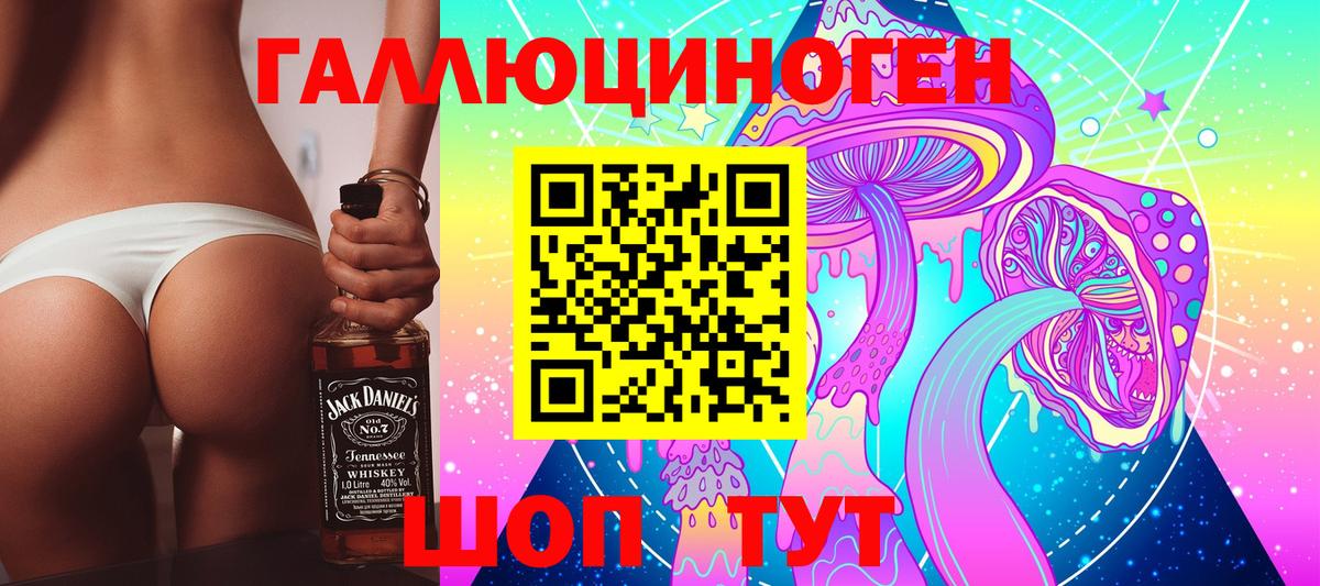 Галлюциногенные грибы Psilocybine cubensis Ростов-на-Дону